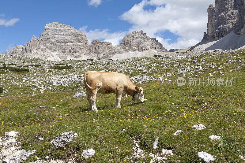 观看Paternkofel, Sexten Dolomites
